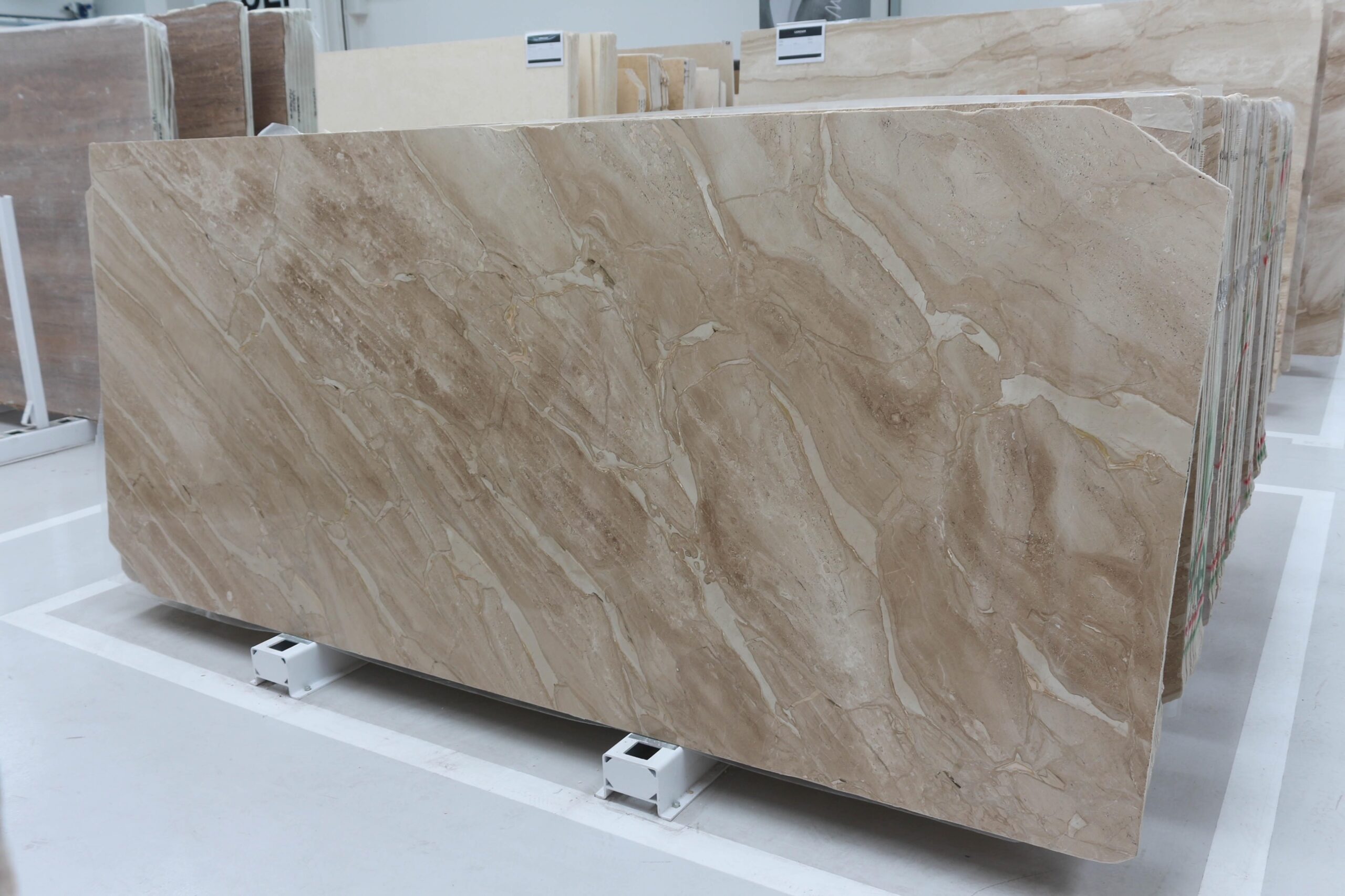 Daino / Breccia Sarda